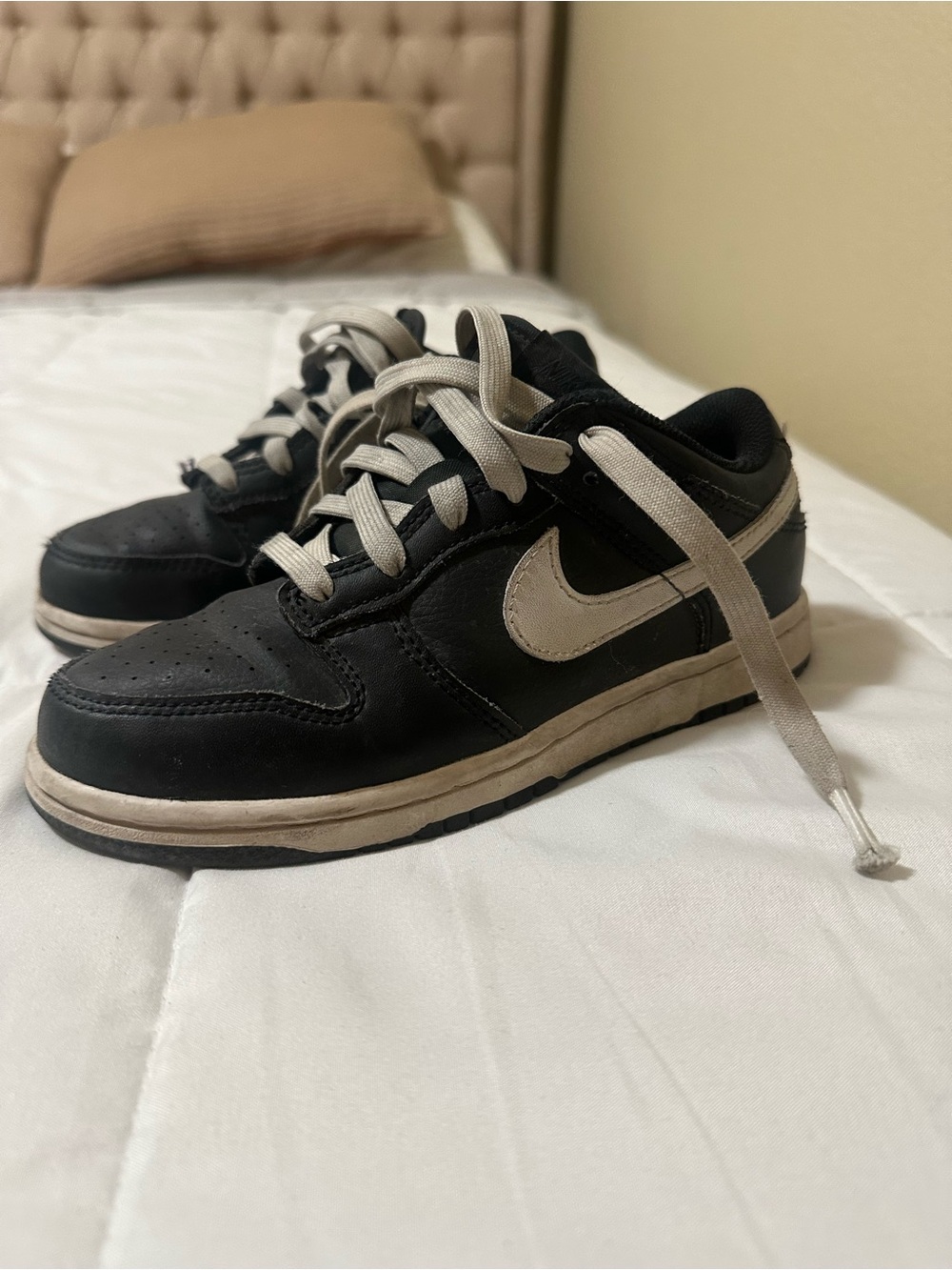 Nike Dunks Kids Low-Top Sneakers